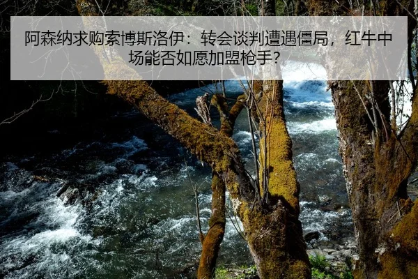 阿森纳求购索博斯洛伊：转会谈判遭遇僵局，红牛中场能否如愿加盟枪手？