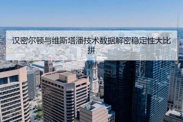 han-mi-er-dun-yu-wei-si-ta-pan-ji-shu-shu-ju-jie-mi-wen-ding-xing-da-bi-pin-2-322.jpg